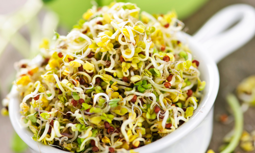 Sprouts Salad