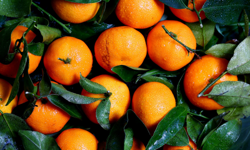 Orange is one of the winter fruits.