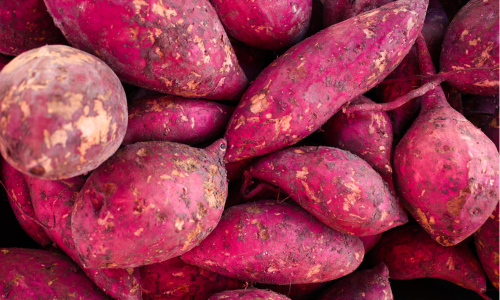 Sweet Potato is a winter season food.